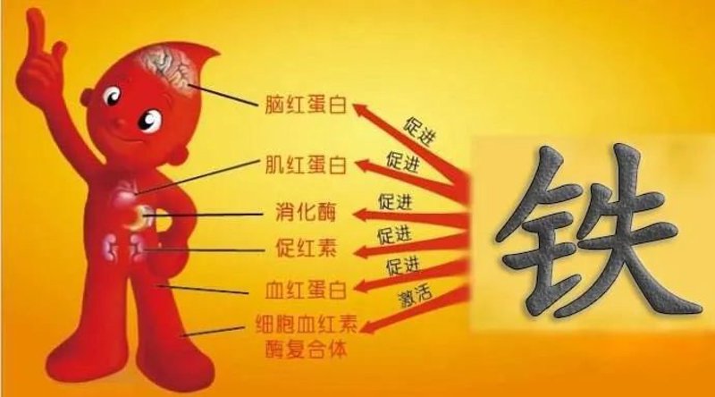 钢材批发入门指南:从新手到专家的进阶之路